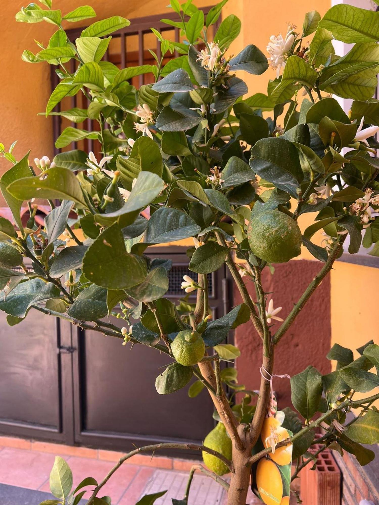 Sabbenerica Apartment Κατάνια Εξωτερικό φωτογραφία